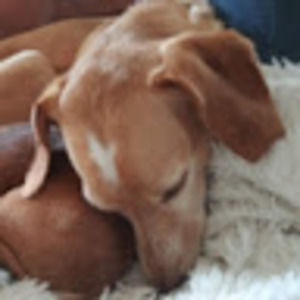 Meet your Posher, Sharron